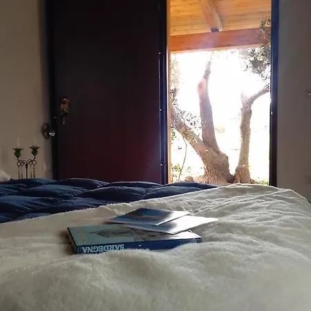 Oasi Verde Bed & Breakfast Iglesias