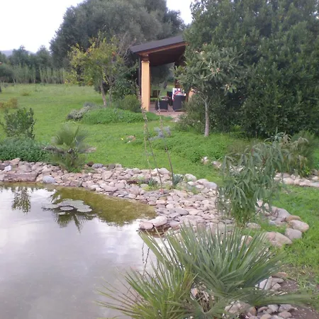 Bed & Breakfast Oasi Verde *