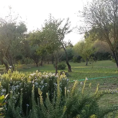 Oasi Verde